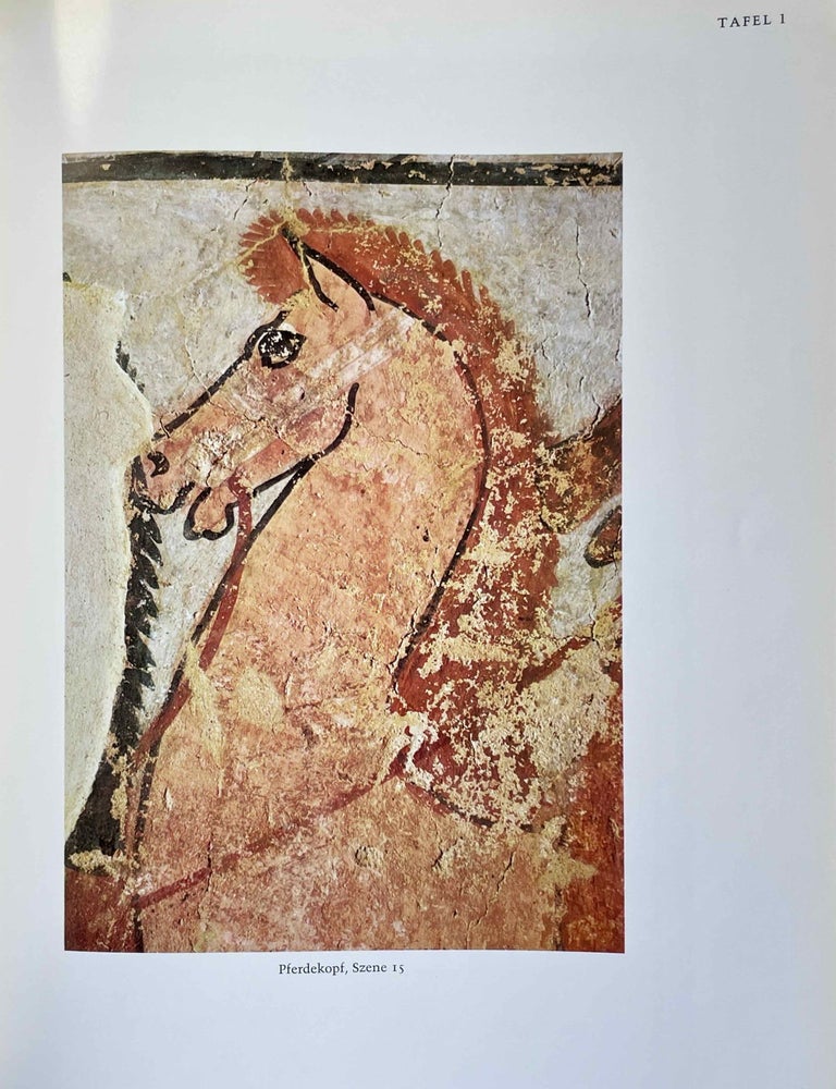 Item #M2895a Das Grab des Tjanuni. BRACK Annelies, Arthur.[newline]M2895a-00.jpeg