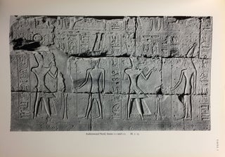 Der Tempel Sethos' I. in Qurna. Band I: Die Reliefs und Inschriften [all published][newline]M2896-06.jpg