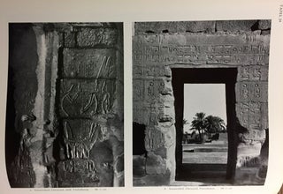 Der Tempel Sethos' I. in Qurna. Band I: Die Reliefs und Inschriften [all published][newline]M2896-07.jpg