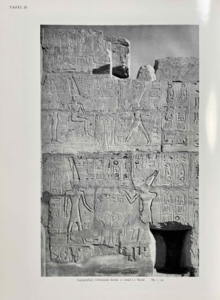 Der Tempel Sethos' I. in Qurna. Band I: Die Reliefs und Inschriften [all published][newline]M2896e-07.jpeg