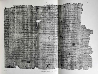 Two ancient Egyptian ship's logs. Papyrus Leiden I 350 verso and Papyrus Turin 2008 + 2016.