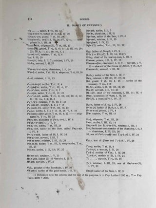 Two ancient Egyptian ship's logs. Papyrus Leiden I 350 verso and Papyrus Turin 2008 + 2016.