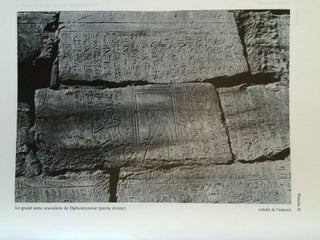Le grand texte oraculaire de Djehutimose, intendant du domaine d'Amon sous le pontificat de Pinedjem II[newline]M2914-05.jpg