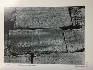 Le grand texte oraculaire de Djehutimose, intendant du domaine d'Amon sous le pontificat de Pinedjem II[newline]M2914b-11.jpg