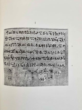 Le papyrus Salt 825 (B. M. 10051), rituel pour la conservation de la vie en Egypte. Fascicles A & B (complete set)[newline]M2936f-19.jpeg