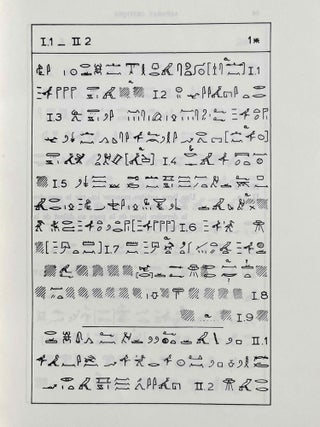 Le papyrus Salt 825 (B. M. 10051), rituel pour la conservation de la vie en Egypte. Fascicles A & B (complete set)[newline]M2936i-13.jpeg