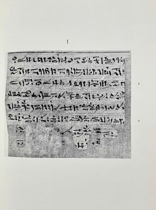 Le papyrus Salt 825 (B. M. 10051), rituel pour la conservation de la vie en Egypte. Fascicles A & B (complete set)[newline]M2936i-16.jpeg