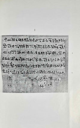 Le papyrus Salt 825 (B. M. 10051), rituel pour la conservation de la vie en Egypte. Fascicles A & B (complete set)[newline]M2936k-12.jpeg