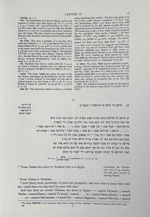 Aramaic documents of the fifth century[newline]M2944b-07.jpeg