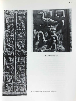 Livre du centenaire de l'Institut Français d'Archéologie Orientale