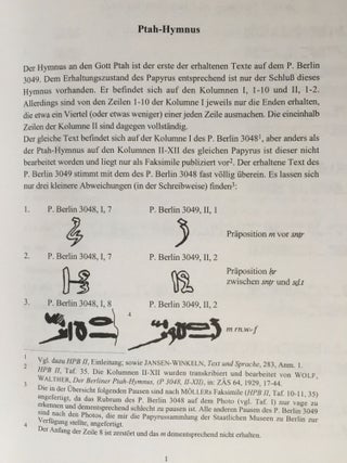 Die hieratischen Texte des P. Berlin 3049[newline]M2973-05.jpg