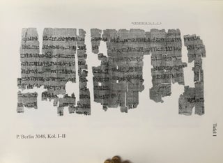 Die hieratischen Texte des P. Berlin 3049[newline]M2973-06.jpg