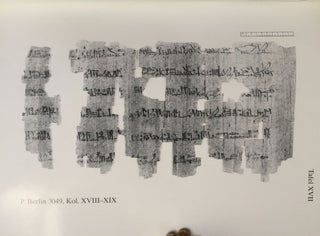 Die hieratischen Texte des P. Berlin 3049[newline]M2973-07.jpg