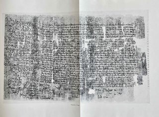 Die Satzungen einer ägyptischen Kultgenossenschaft aus der Ptolemäerzeit nach einem demotischen Papyrus in Prag[newline]M2992-08.jpeg