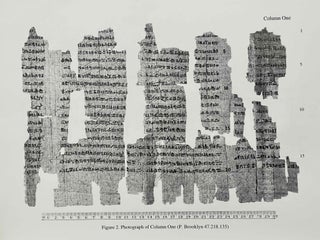 A late period hieratic wisdom text (P. Brooklyn 47.218.135)