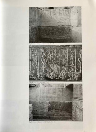 Ermant. Tome I: Les cryptes du temple ptolémaïque[newline]M3064-14.jpg