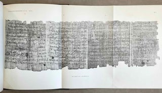 The Leiden magical papyrus I 343 + I 345[newline]M3124a-09.jpeg