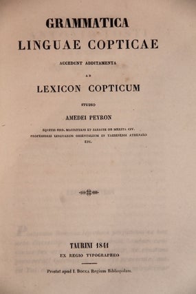 Grammatica linguae copticae. Accedunt additamenta ad Lexicon Copticum.[newline]M3202-01.jpg