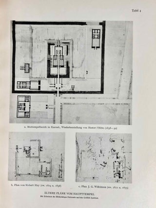Das Kamutef-Heiligtum Hatschepsuts und Thutmoses' III in Karnak: Bericht über eine Ausgrabung vor dem Muttempelbezirk
