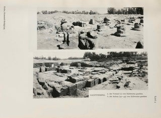 Das Kamutef-Heiligtum Hatschepsuts und Thutmoses' III in Karnak: Bericht über eine Ausgrabung vor dem Muttempelbezirk