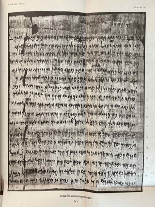 Drei aram&auml;ische Papyrusurkunden aus Elephantine