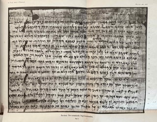 Drei aramäische Papyrusurkunden aus Elephantine