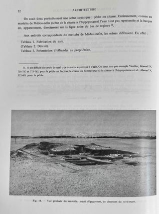 Balat. Tome II: Le mastaba d'Ima-Pépi[newline]M3343a-07.jpeg