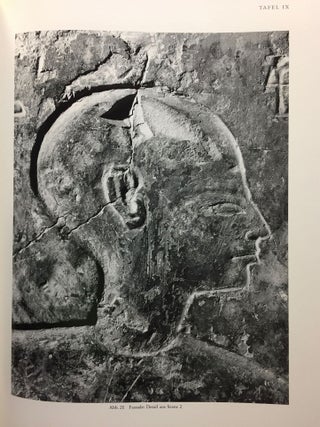 Das Grab des Djehutiemhab (TT 194)