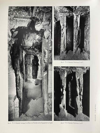 Das Grab des Amonmose (TT 373)[newline]M3375c-07.jpeg