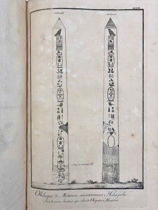 Travels in Egypt and Nubia. Volume I (only)[newline]M3394a-41.jpg