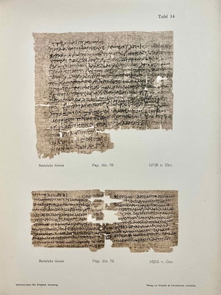 Griechische Papyrus der Kaiserlichen Universitäts- und Landesbibliothek zu Strassburg. Bd. 1, Heft 3: Urkunden Nr. 55-80.[newline]M3441-09.jpeg
