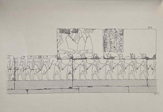 Détails relevés dans les ruines de quelques temples égyptiens. Part 1: Abydos. Part 2: Behbeit el-Hagher[newline]M3492a-14.jpeg