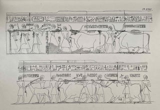 Détails relevés dans les ruines de quelques temples égyptiens. Part 1: Abydos. Part 2: Behbeit el-Hagher[newline]M3492a-16.jpeg