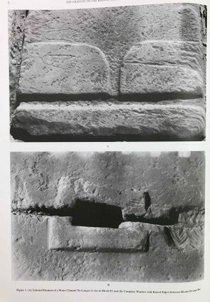 Temple of Khonsu. Vol. III: The Graffiti on the Khonsu Temple Roof at Karnak: A Manifestation[newline]M3508a-15.jpeg