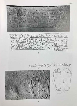 Temple of Khonsu. Vol. III: The Graffiti on the Khonsu Temple Roof at Karnak: A Manifestation[newline]M3508a-20.jpeg