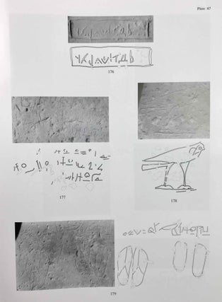 Temple of Khonsu. Vol. III: The Graffiti on the Khonsu Temple Roof at Karnak: A Manifestation[newline]M3508a-21.jpeg