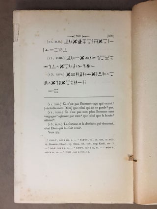 Le papyrus moral de Leide. Tomes I & II (complete set)[newline]M3522a-04.jpg