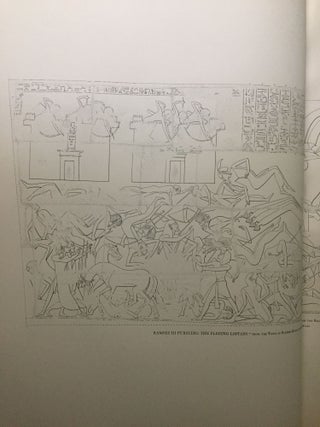 Medinet Habu. The Epigraphic survey. Vol. II: The Later Historical Records of Ramses III[newline]M3524c-11.jpg