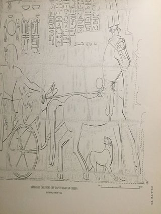 Medinet Habu. The Epigraphic survey. Vol. II: The Later Historical Records of Ramses III[newline]M3524c-12.jpg
