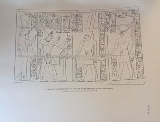 Medinet Habu. The Epigraphic survey. Vol. VI: The Temple Proper, Part II. The Re Chapel, the Royal Mortuary Complex, and adjacent rooms with miscellaneous material from the Pylons, the Forecourts, and the first Hypostyle Hall.[newline]M3529-17.jpg