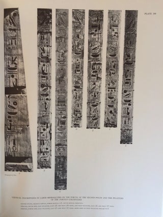 Medinet Habu. The Epigraphic survey. Vol. VI: The Temple Proper, Part II. The Re Chapel, the Royal Mortuary Complex, and adjacent rooms with miscellaneous material from the Pylons, the Forecourts, and the first Hypostyle Hall.