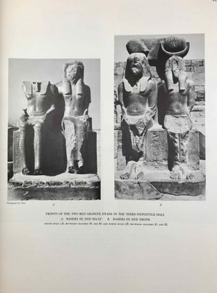 Medinet Habu. The Epigraphic survey. Vol. VII: The temple proper. Part III: The third hypostyle hall and all rooms accessible from it, with friezes of scenes from the roof terraces and exterior walls of the temple[newline]M3530b-09.jpg