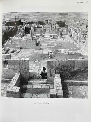 The tomb of Tia and Tia. A royal monument of the ramesside period in the Memphite necropolis[newline]M3574b-08.jpeg