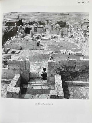 The tomb of Tia and Tia. A royal monument of the ramesside period in the Memphite necropolis