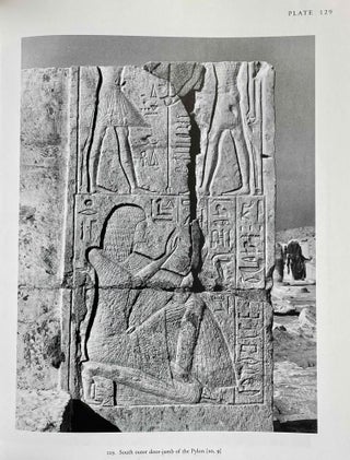The tomb of Tia and Tia. A royal monument of the ramesside period in the Memphite necropolis[newline]M3574b-09.jpeg