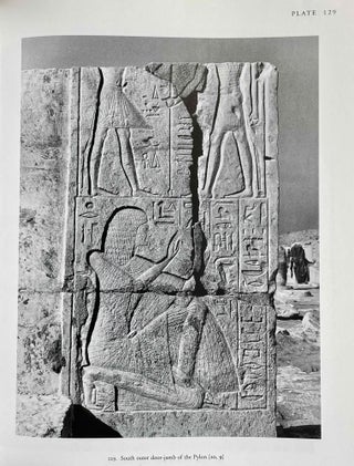 The tomb of Tia and Tia. A royal monument of the ramesside period in the Memphite necropolis