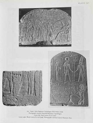 The tomb of Tia and Tia. A royal monument of the ramesside period in the Memphite necropolis[newline]M3574b-10.jpeg