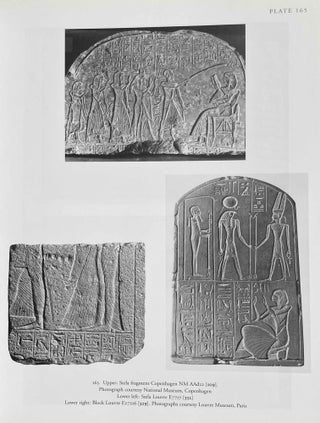 The tomb of Tia and Tia. A royal monument of the ramesside period in the Memphite necropolis