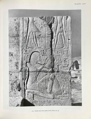 The tomb of Tia and Tia. A royal monument of the ramesside period in the Memphite necropolis