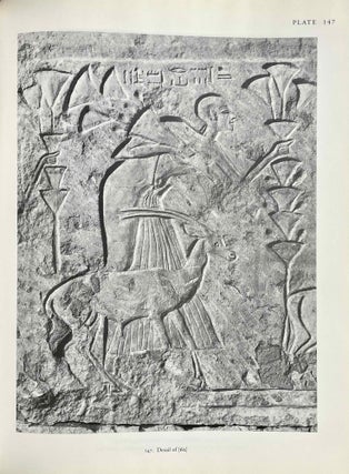 The tomb of Tia and Tia. A royal monument of the ramesside period in the Memphite necropolis